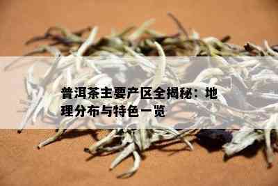 普洱茶主要产区全揭秘：地理分布与特色一览