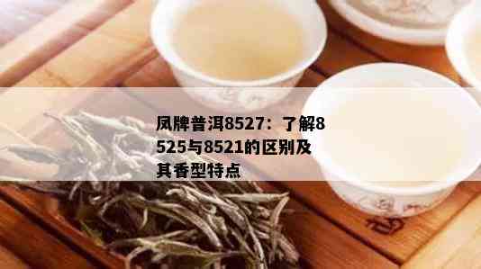 凤牌普洱8527：了解8525与8521的区别及其香型特点