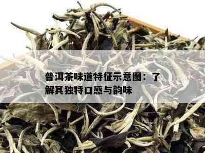 普洱茶味道特征示意图：了解其独特口感与韵味