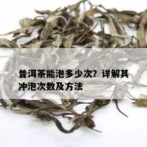 普洱茶能泡多少次？详解其冲泡次数及方法