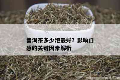 普洱茶多少泡更好？影响口感的关键因素解析