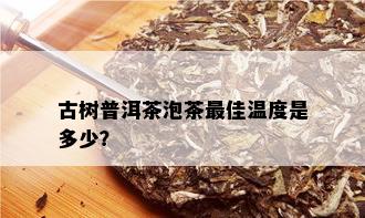 古树普洱茶泡茶更佳温度是多少？