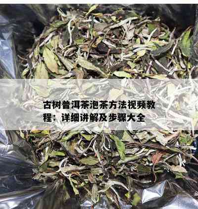 古树普洱茶泡茶方法视频教程：详细讲解及步骤大全