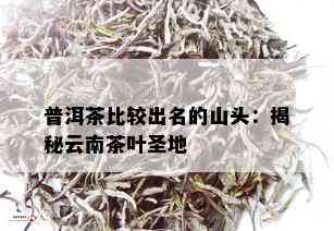 普洱茶比较出名的山头：揭秘云南茶叶圣地