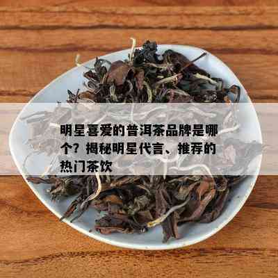 明星喜爱的普洱茶品牌是哪个？揭秘明星代言、推荐的热门茶饮