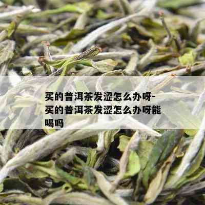 买的普洱茶发涩怎么办呀-买的普洱茶发涩怎么办呀能喝吗