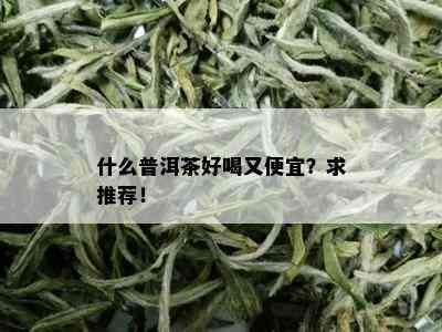 什么普洱茶好喝又便宜？求推荐！