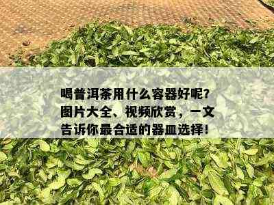 喝普洱茶用什么容器好呢？图片大全、视频欣赏，一文告诉你最合适的器皿选择！