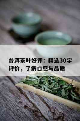 普洱茶叶好评：精选30字评价，了解口感与品质