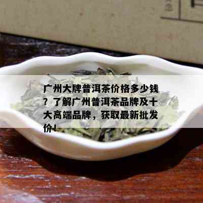 广州大牌普洱茶价格多少钱？了解广州普洱茶品牌及十大高端品牌，获取最新批发价！