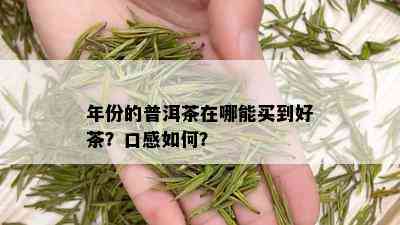 年份的普洱茶在哪能买到好茶？口感如何？