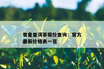 普皇普洱茶报价查询：官方最新价格表一览