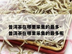 普洱茶在哪里采集的最多-普洱茶在哪里采集的最多呢