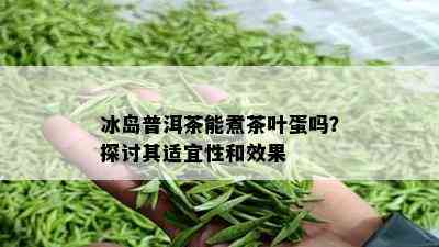 冰岛普洱茶能煮茶叶蛋吗？探讨其适宜性和效果