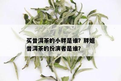 买普洱茶的小胖是谁？胖姐普洱茶的扮演者是谁？