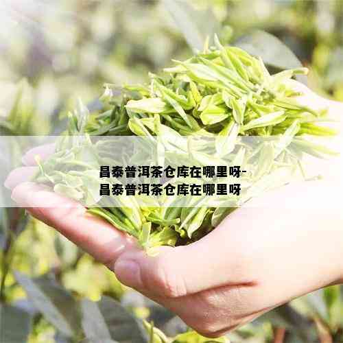 昌泰普洱茶仓库在哪里呀-昌泰普洱茶仓库在哪里呀