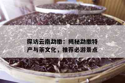 探访云南勐撒：揭秘勐撒特产与茶文化，推荐必游景点