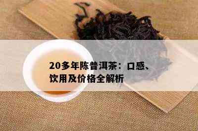 20多年陈普洱茶：口感、饮用及价格全解析