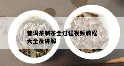 普洱茶制茶全过程视频教程大全及讲解