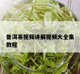 普洱茶视频讲解视频大全集教程