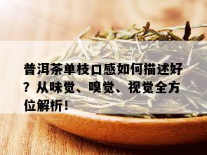 普洱茶单枝口感如何描述好？从味觉、嗅觉、视觉全方位解析！