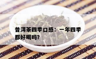 普洱茶四季口感：一年四季都好喝吗？