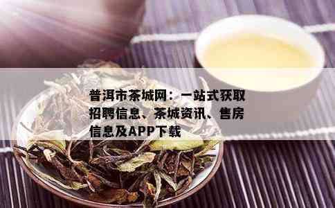 普洱市茶城网：一站式获取招聘信息、茶城资讯、售房信息及APP下载