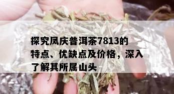 探究凤庆普洱茶7813的特点、优缺点及价格，深入了解其所属山头