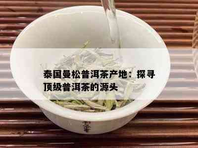 泰国曼松普洱茶产地：探寻顶级普洱茶的源头