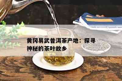 黄冈易武普洱茶产地：探寻神秘的茶叶故乡