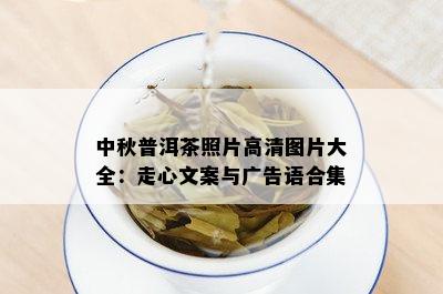 中秋普洱茶照片高清图片大全：走心文案与广告语合集