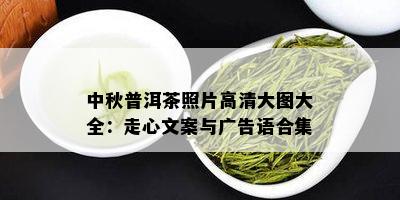 中秋普洱茶照片高清大图大全：走心文案与广告语合集