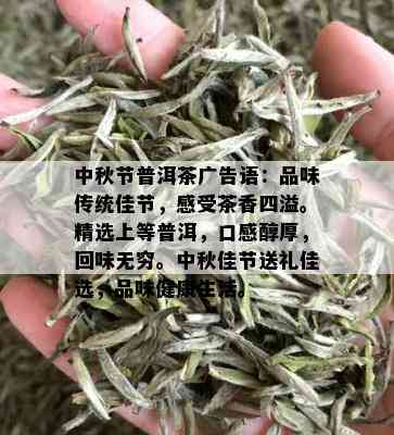 中秋节普洱茶广告语：品味传统佳节，感受茶香四溢。精选上等普洱，口感醇厚，回味无穷。中秋佳节送礼佳选，品味健康生活。