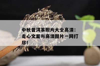 中秋普洱茶照片大全高清：走心文案与高清图片一网打尽！