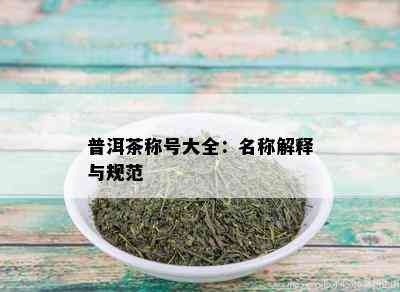 普洱茶称号大全：名称解释与规范