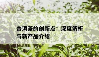 普洱茶的创新点：深度解析与新产品介绍