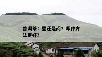 普洱茶：煮还是闷？哪种方法更好？