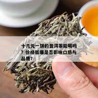 十几元一饼的普洱茶能喝吗？价格低廉是否影响口感与品质？