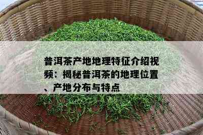 普洱茶产地地理特征介绍视频：揭秘普洱茶的地理位置、产地分布与特点