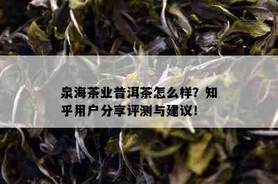 泉海茶业普洱茶怎么样？知乎用户分享评测与建议！