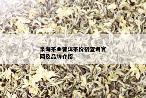 泉海茶业普洱茶价格查询官网及品牌介绍