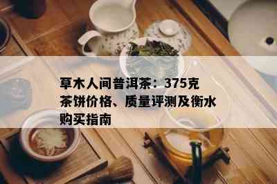 草木人间普洱茶：375克茶饼价格、质量评测及衡水购买指南