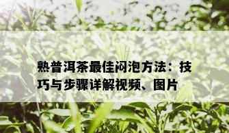 熟普洱茶更佳闷泡方法：技巧与步骤详解视频、图片