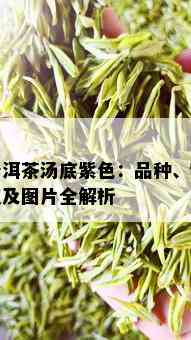 普洱茶汤底紫色：品种、特点及图片全解析