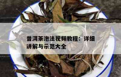 普洱茶泡法视频教程：详细讲解与示范大全