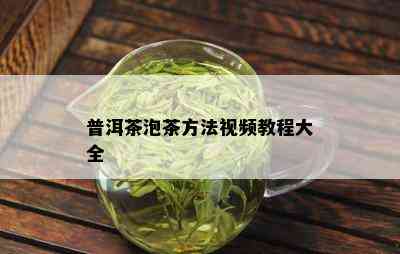 普洱茶泡茶方法视频教程大全