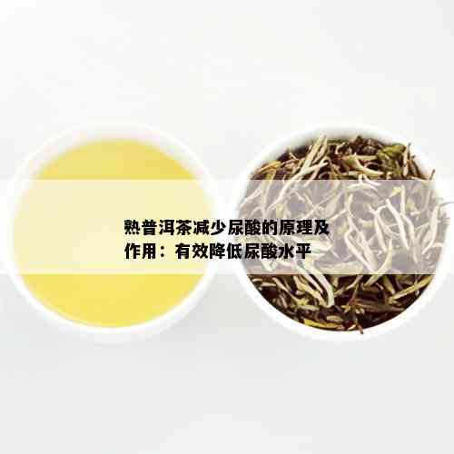 熟普洱茶减少尿酸的原理及作用：有效降低尿酸水平