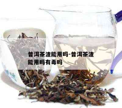 普洱茶渣能用吗-普洱茶渣能用吗有吗