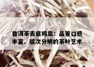 普洱茶舌底鸣泉：品鉴口感丰富、层次分明的茶叶艺术