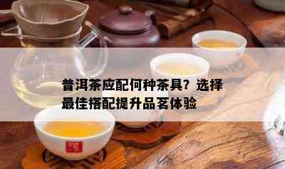 普洱茶应配何种茶具？选择更佳搭配提升品茗体验